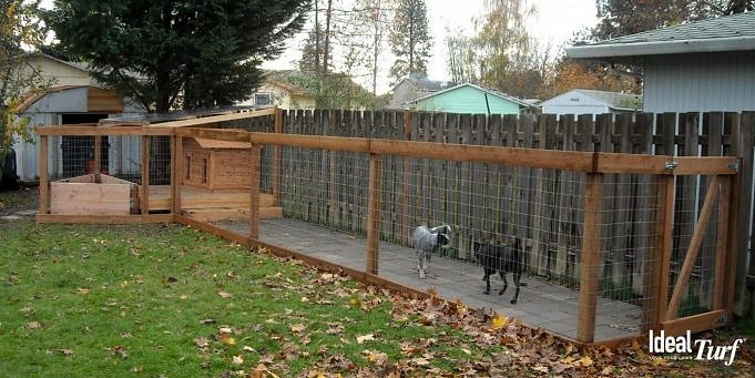 Perfect Dog Play Yard. Your Ideas Can Become Reality